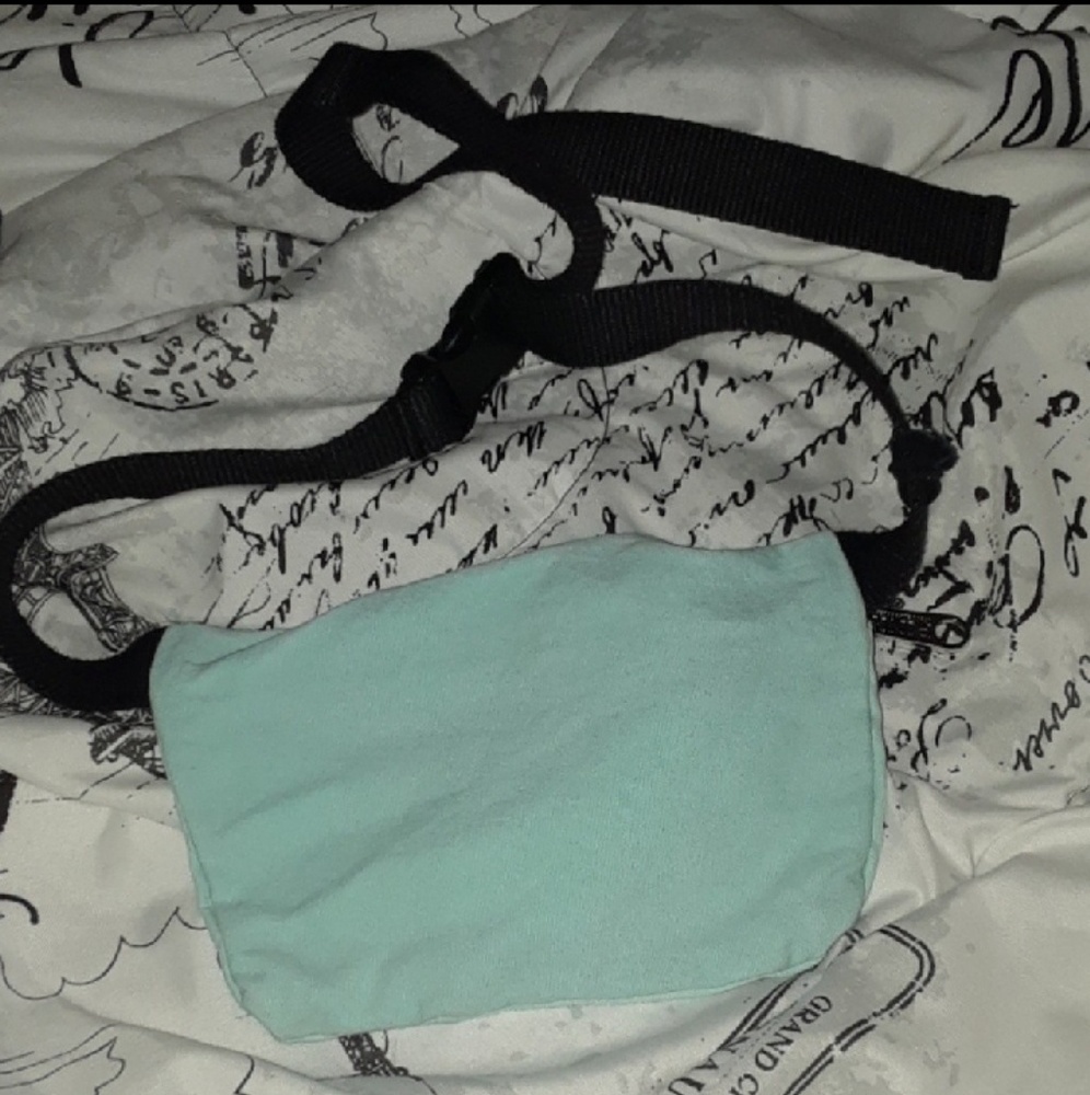 Pink Spring Break Fannypack/belt bag (Mint Color) - Picture 2 of 3